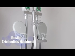 Cryolipolyse EMS Body Slim Machine Cryo Fat Freezing Hiemt Sculpting Machine