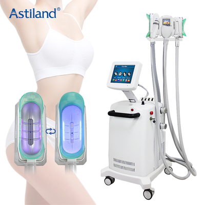 Máy giảm cân Cryolipolysis không xâm lấn 360 ° làm mát với cốc thay thế 3 tay