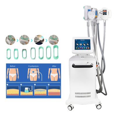 Máy giảm béo Cryolipolysis điêu khắc làm lạnh để giảm béo