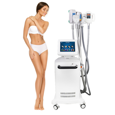 Máy loại bỏ chất béo Cryolipolysis Làm mát Điêu khắc Giảm chất béo không xâm lấn