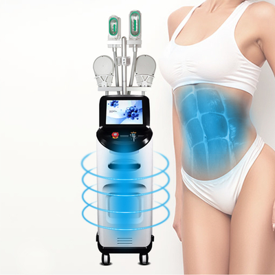 Máy giảm béo Công nghệ làm lạnh chất béo Cryolipolysis Máy giảm béo