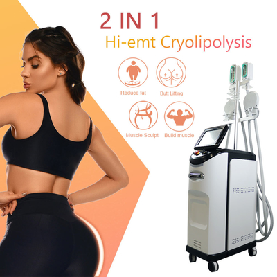 Máy Cryolipolyse EMS 360 Cryo Fat Freezing Cellulite Removal