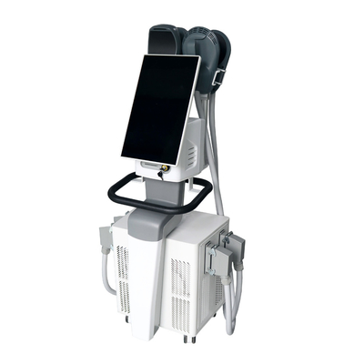 Máy điêu khắc Ems với tần số RF và màn hình cảm ứng màu 15 inch