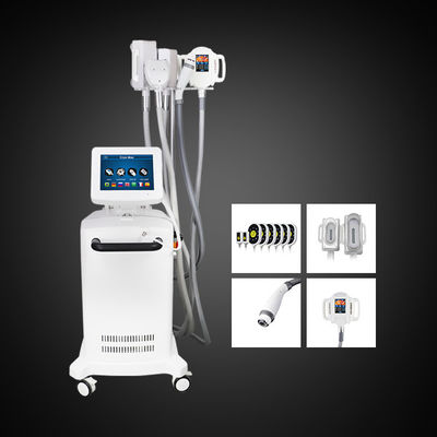 5 tay cầm Máy giảm béo Cryolipolysis Máy giảm mỡ bụng