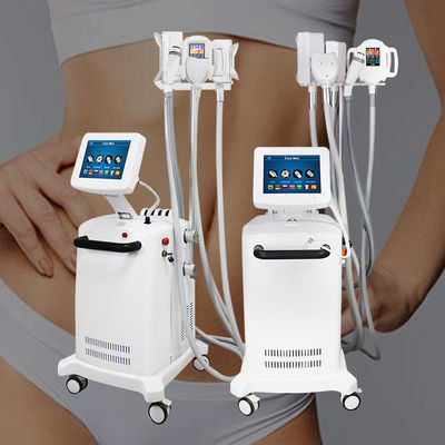 Máy giảm béo đông lạnh Cryolipolysis chuyên nghiệp 360 góc bao quanh cho cơ thể