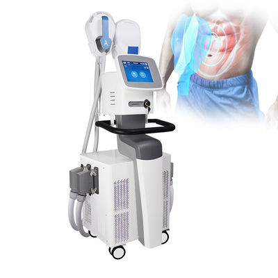 4 tay cầm Máy EMS SCULPTING EMS Được chứng nhận CE cho việc giảm béo cơ bắp