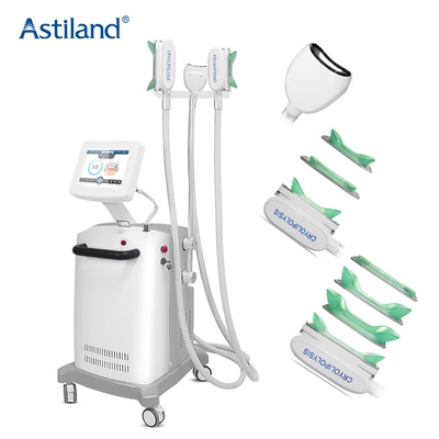 3 tay cầm không đau Máy đông lạnh chất béo Cryolipolysis Body Loại bỏ cằm đôi